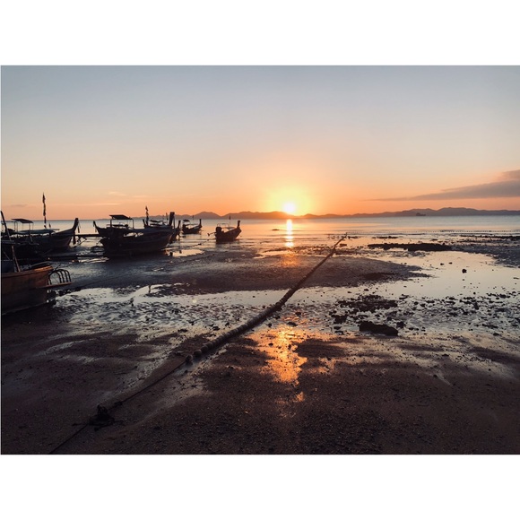 from 20 Oct to 10 November - Picture 13 of 14